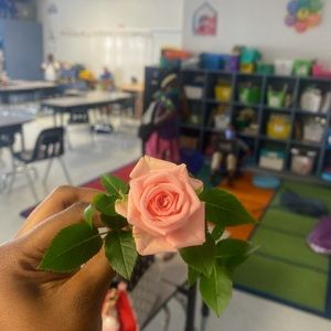 Meet your Posher, Berline